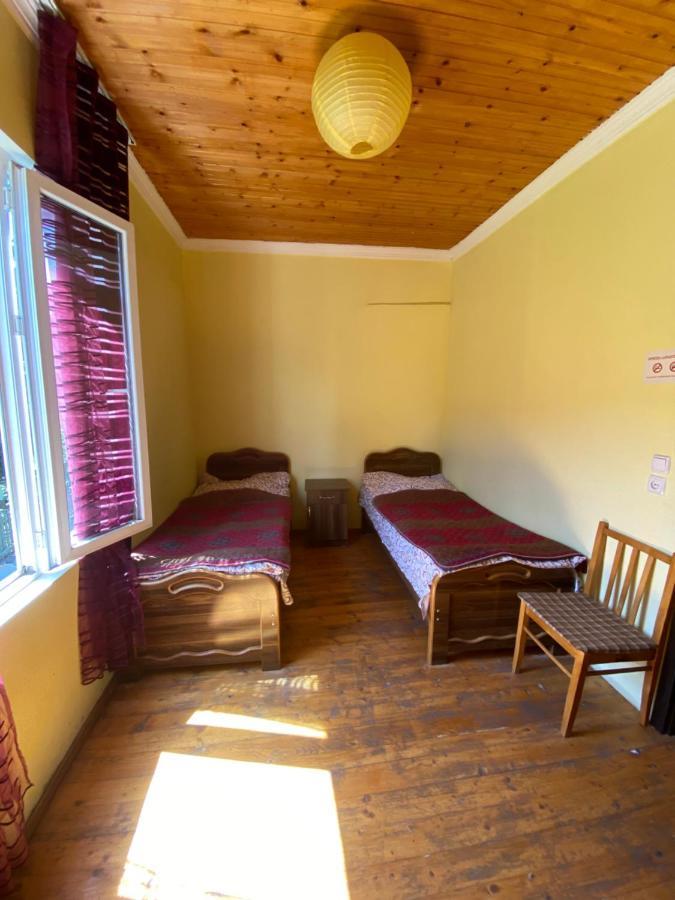 Shaulini Hotel Kashveti Exterior photo