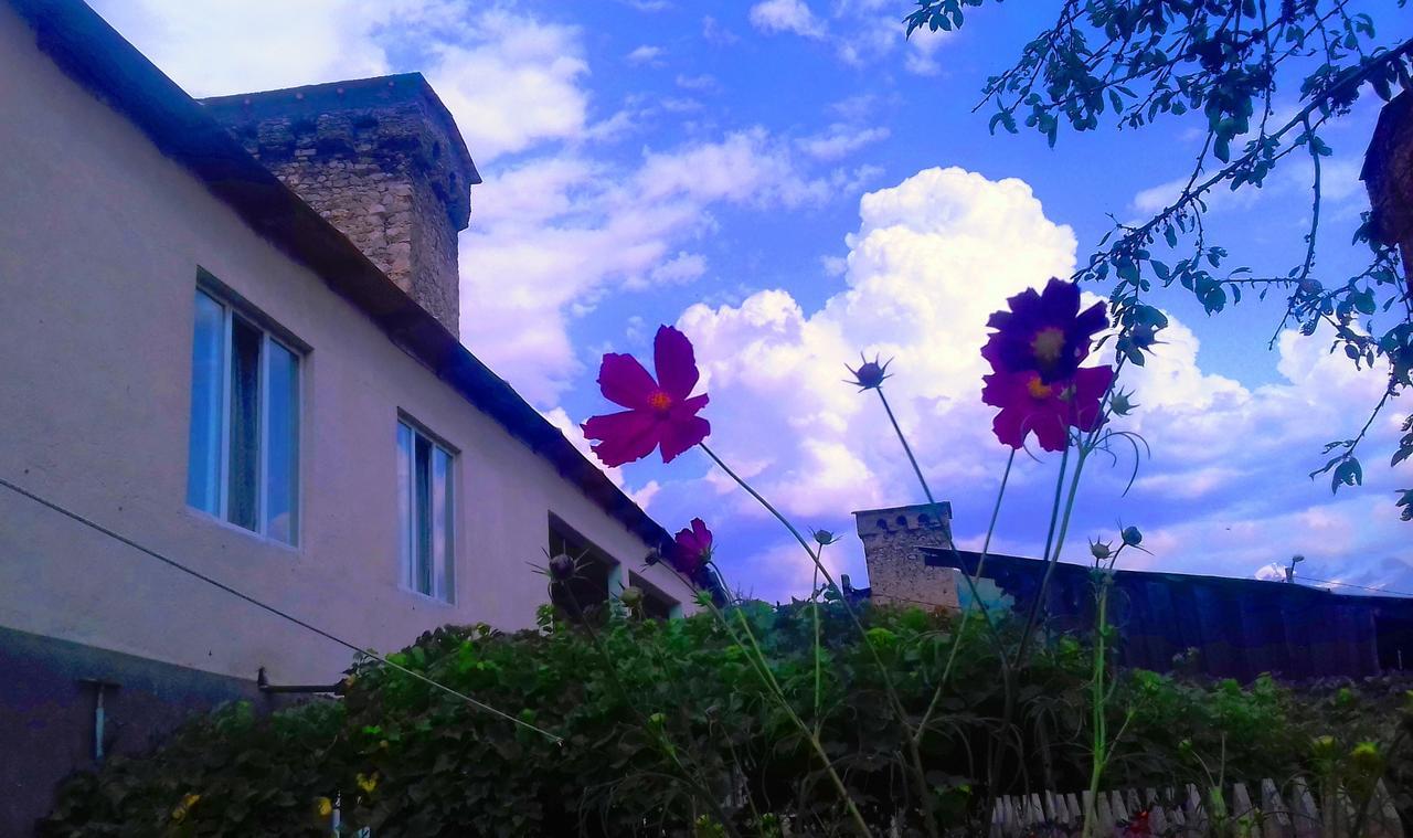 Shaulini Hotel Kashveti Exterior photo